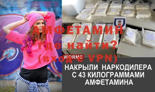 прущие грибы Новодвинск