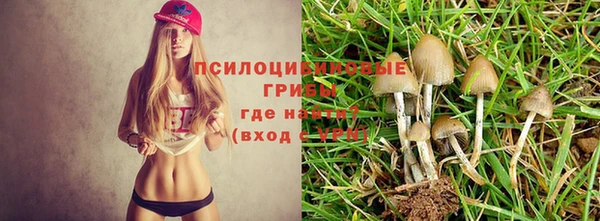 кокаин премиум Алзамай