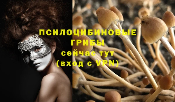 spice Алексеевка
