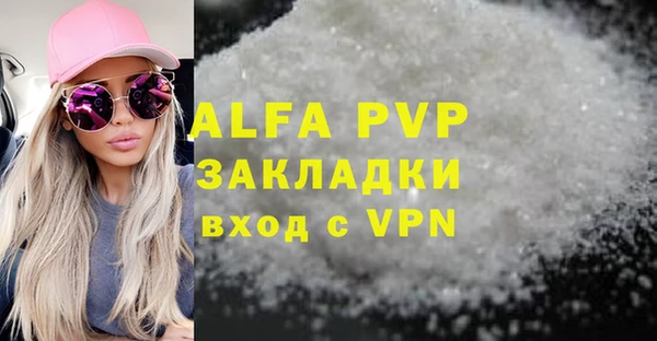СК Алексин