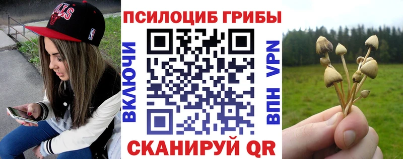 Псилоцибиновые грибы Psilocybine cubensis  Йошкар-Ола 